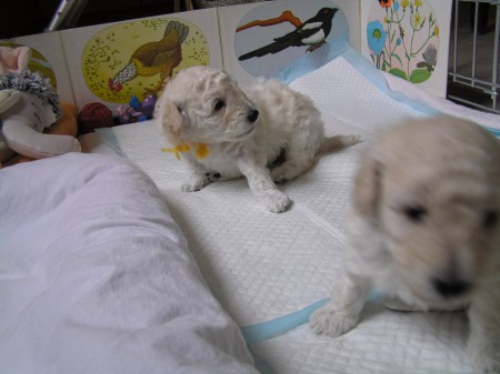 ...je třeba se rozhlédnout...